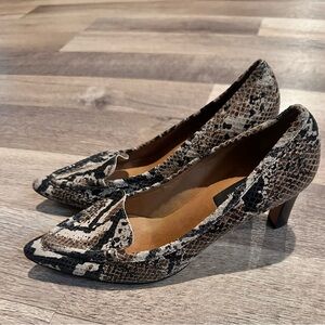 Size 5.5M Ann Taylor Vienna SnakeSkin Pump